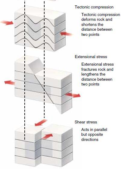 ROCK DEFORMATION DIRECTED PRESSURE Compressive stress is common in convergent plate boundaries,where two plates converge and the rock.