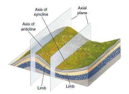 anticline or the trough of a syncline is the fold axis.