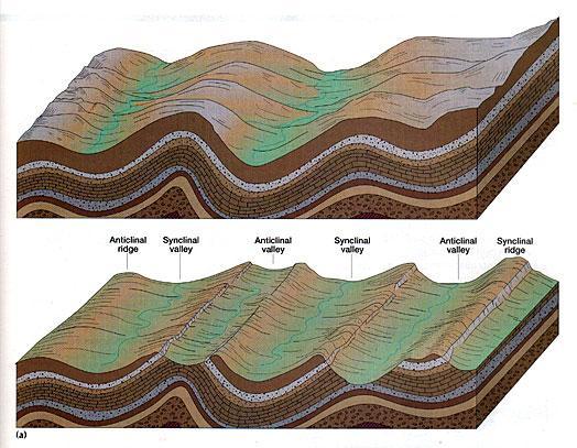 Anticlines Rules of Folds 1) Oldest unit in center Horizontal Folds 2) Limbs dip outward Synclines 1) Youngest unit in center 2) Limbs dip inward Horizontal Folds 1) Strikes of opposing fold limbs