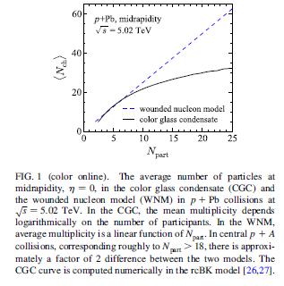 Color Glass Condensate* (an effective theory of QCD at high energy) ln 1 x Bzdak and Skokov, PRL 111, 18301 (013); CGC prediction for