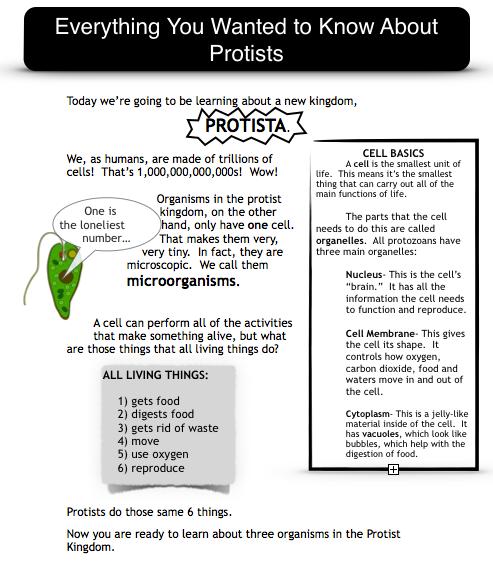 Suggestions for Use Read the first page titled "Everything You Wanted to Know About Protists together as a class.