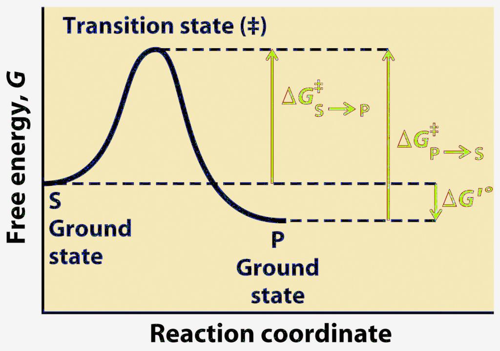 equilibrium constant = transition state [A] = concentration of molecules having the