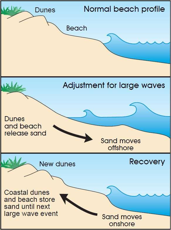Daily/Seasonal Variability Beach Profile Adjustments Large waves, which tend to occur in the winter in Massachusetts, cause the beach to temporarily change its profile.