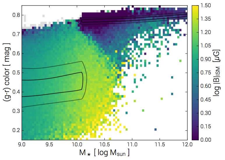 TNG finding: Magnetic Fields in/around galaxies know their color Magnetic Field Strength: Blue galaxies: