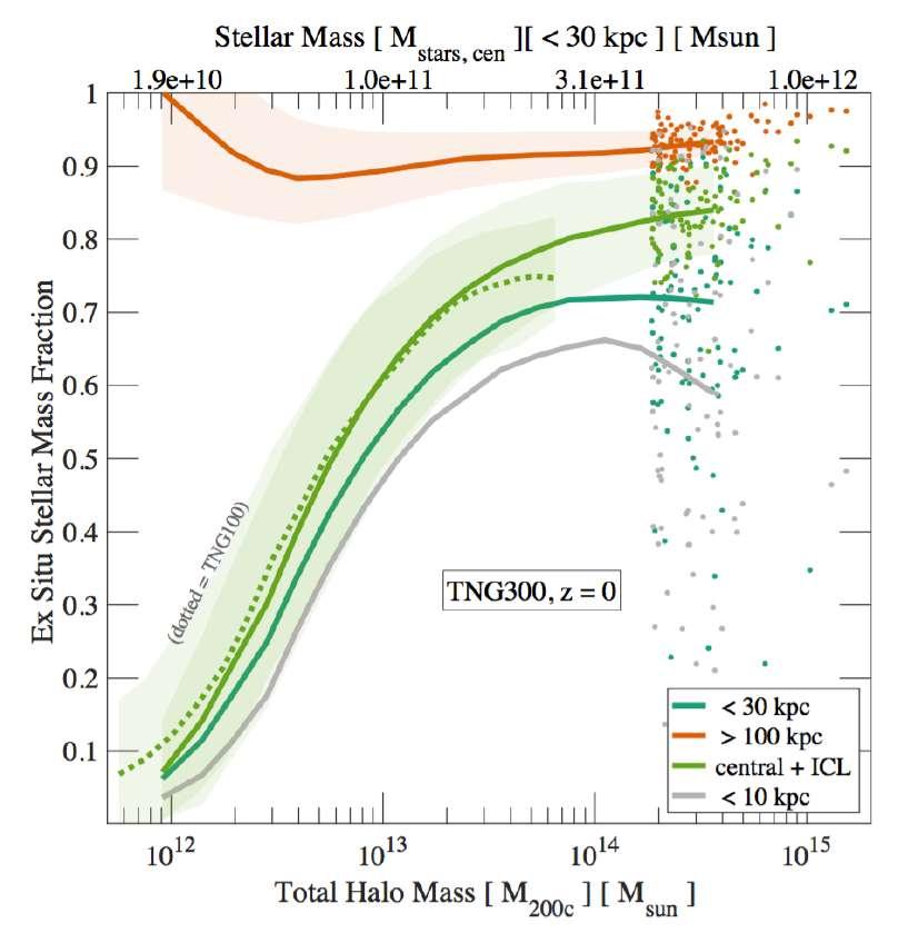 The stellar mass of BCGs is by more than 70% accreted!