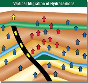 The Earth s Fractionation Process Vertical Migration Hydrocarbons from reservoir Hydrocarbons along faults Background hydrocarbons Macroseepage: Detectable in visible