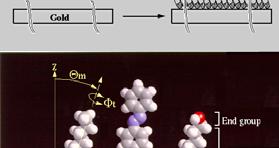 One common example are Self-Assembled Monolayers (SAMs): organic molecules that deposits from solution onto a