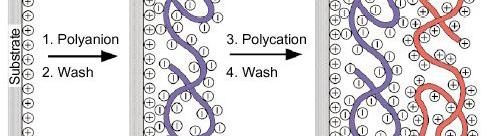 salt of poly(styrene sulfonate) will be negatively charged, while poly(allylamine hydrochloride)