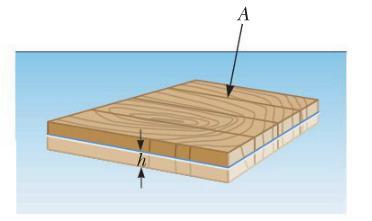 15. A raft is constructed of wood having a density of 6.00 x 10 2 kg/m 3. Its surface area is 5.70 m 2 and its volume is 0.60 m 3.