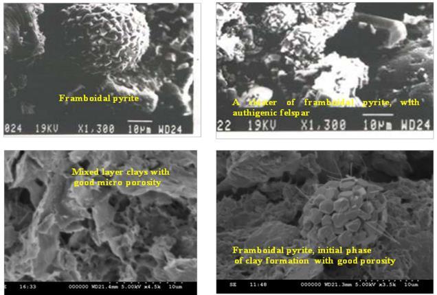 Figure 4: SEM imageries clearly depicting the cause of low resistivity is due to authigenic pyrite, montmorollinite and mixed layers like chlorite-montmorollinite mudstone ii) The depositional system