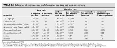 sequences Mutation