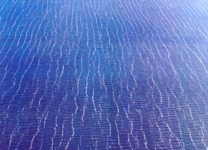 Photograph of converging foam lines generated by Langmuir circulations in the Great Salt Lake also called wind rows.