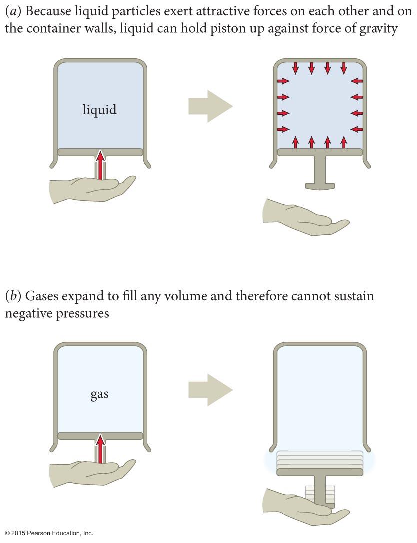Section 18.1: Forces in a fluid As illustrated in the figure, pressure in gasses can only be positive.