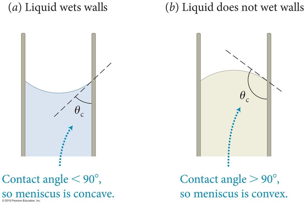 Section 18.4: Surface effects In a very narrow tube, called a capillary tube, the surface of a liquid is curved.