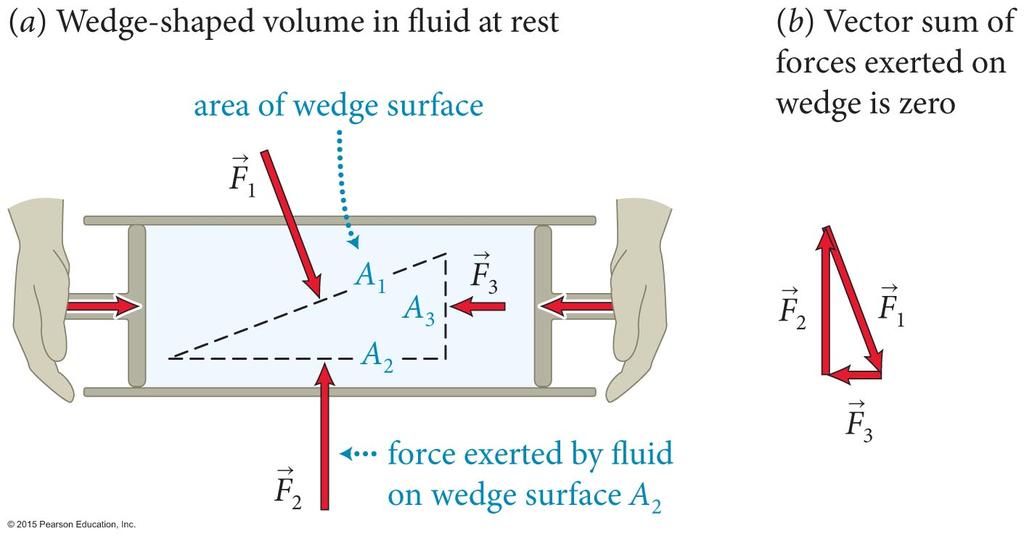 Section 18.1: Forces in a fluid Consider a fluid subject to a compressive stress in a cylinder, as shown. The fluid is in mechanical equilibrium.