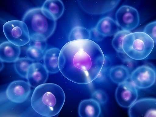 The Origin of Cells