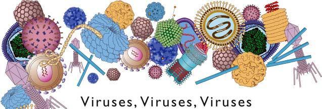 What are Viruses?