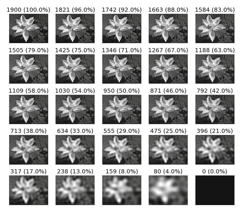Sampled scale space representation L (left top), sampled scale space representation L with reduced eigenimages (left bottom) and the sum of squared differences from low scale to high scale images