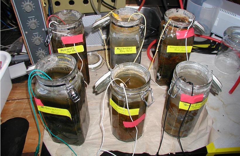 monitoring probes or bioremediation of contaminated sediments [30, 31]. These SMFCs can be studied in a lab setting by collecting sediments and burying an anode in a jar or cylinder. Fig. 1.5.1.1 Sediment MFCs from 6 different sediment sources.