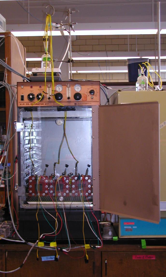 Fig. 2.4.1 Incubator containing 3 MFCs. 2.5 MFC Monitoring Fuel cells were monitored using a VMP 16 channel potentiostat, and EC-Lab software.