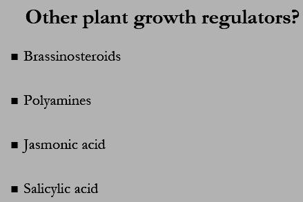 Effects include: stem and cell elongation Unrolling and bending of grasses H+ activation Ethylene production Photomorphogenesis Induction of cell division Root initiation Embryogenesis Flower