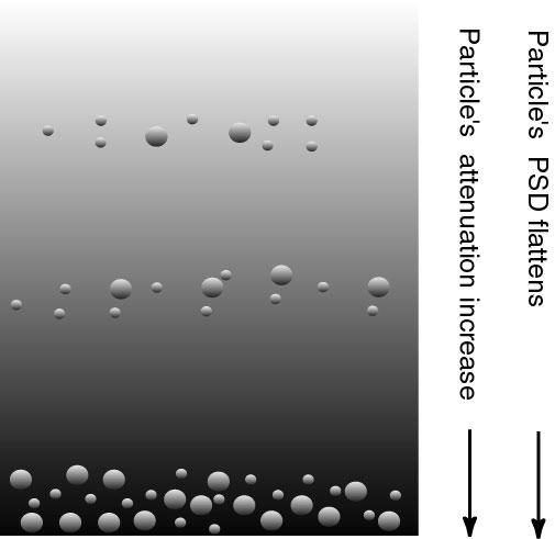 Example: particles distribution in the bottom boundary layer In BBL we expect that