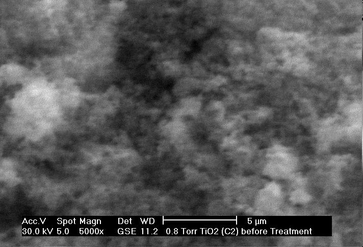 SEM analysis Scanning electron microscopy (SEM) is widely used to study the morphological features and surface