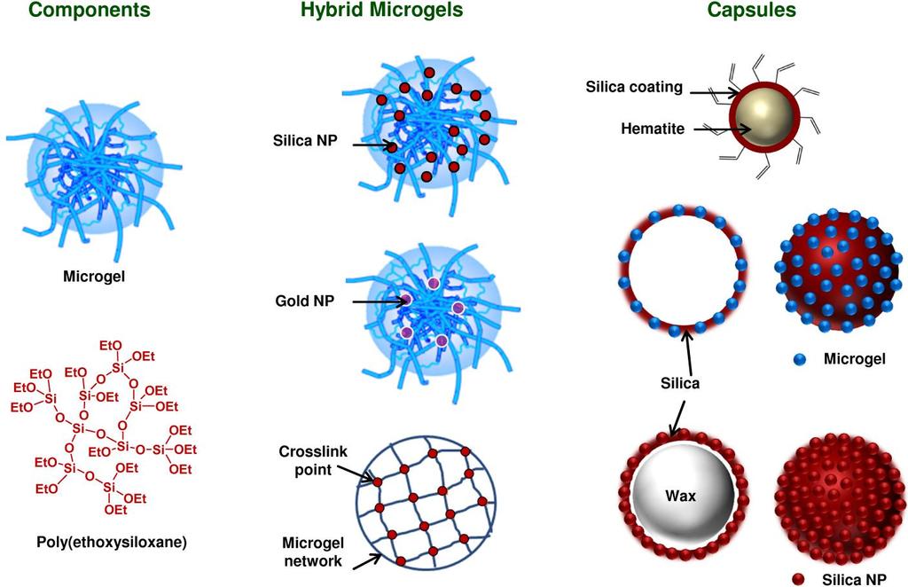 5 1.1 Aim of the Dissertation The aim of this dissertation is to develop and characterize microgel/silica hybrid colloids of different complexity based on different derivatives of hyperbranched