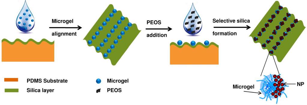 131 Figure 6.2. Schematic representation of microgel/silica Janus particles preparation using wrinkled template.