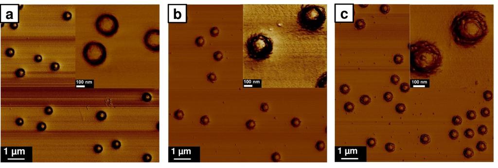 21 The composite microgel particles were spin-coated from the aqueous dispersion onto a silicon substrate, and studied using AFM.