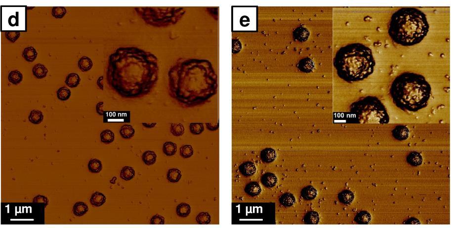 9). From the height profiles of the composite microgel particles shown in Figure 2.1.9f one can see clearly that the width and height of the dried microgel particles increases with the silica content.