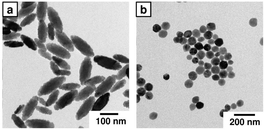 67 Figure 4.1.1. TEM images of ellipsoidal (α-fe 2 O 3 -el) (a) and; spherical (α-fe 2 O 3 -sp) (b) hematite nanoparticles. Scheme 4.1.1. Formation of spherical or ellipsoidal hematite particles depending on reaction conditions followed by silica coating with PEG-PEOS or Cross-PAOS as silica precursors.