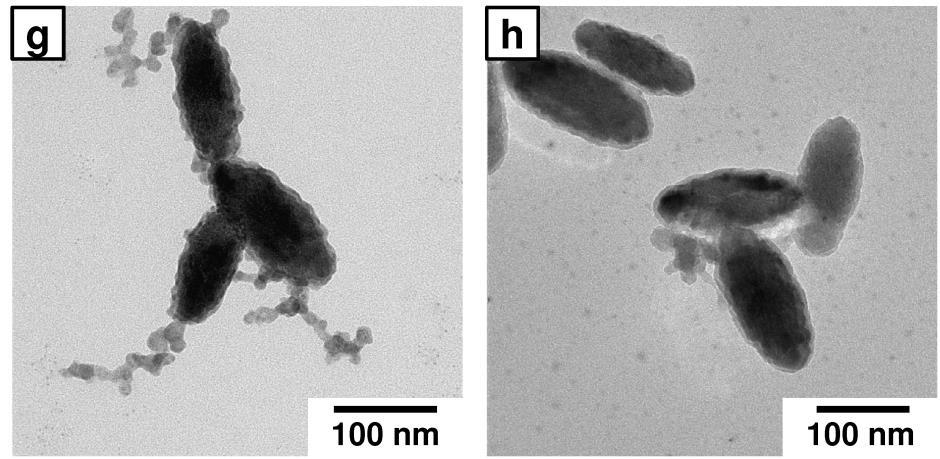 A complete uniform silica shell formation can be seen with no secondary free silica particles formation in this case. Coatings with 0.6 ml silica precursor are presented in Figure 4.1.3d-f.