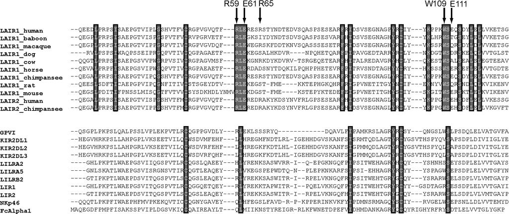 Figure S5. Sequence conservation within the LAIR and LRC-families Top: alignment of hlair1 with LAIR1 and LAIR2 from several species. Sequence identities vary from 31.7% with mouse LAIR-1 to 96.