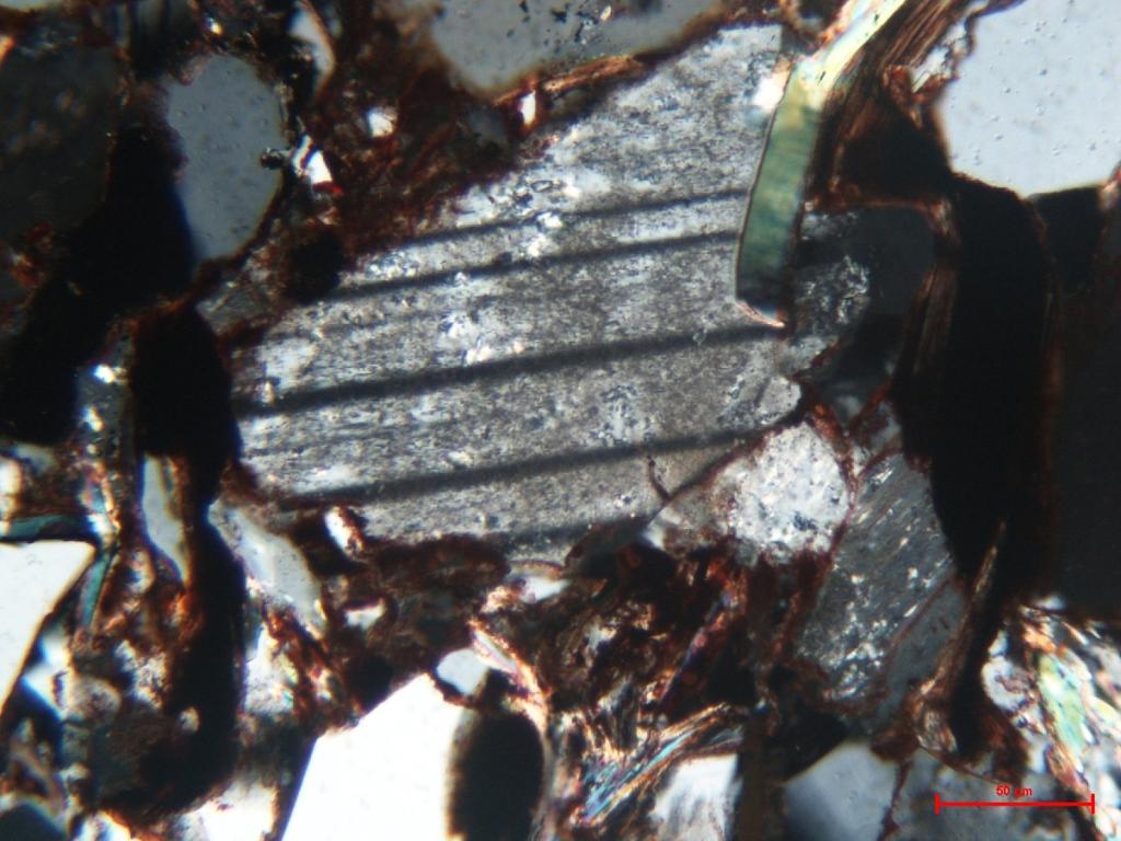 Figure 5.2 Photomicrograph of slightly altered plagioclase grain, showing albite twinning. Plagioclase will alter to mica and clay over time.