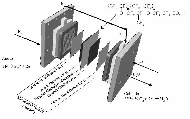Figure 2-1: Schematic of a PEM fuel cell [1]. At the anode, hydrogen flows into the system through channels machined into the graphite bipolar plates.