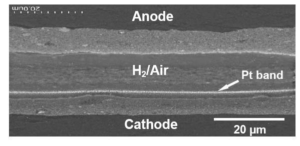 Figure 2-11: Image of the platinum band within the electrolyte layer of a CCM [55]. Work by Bi et al [56] and Ohma et al [50,57] have observed the platinum band within the electrolyte membrane.