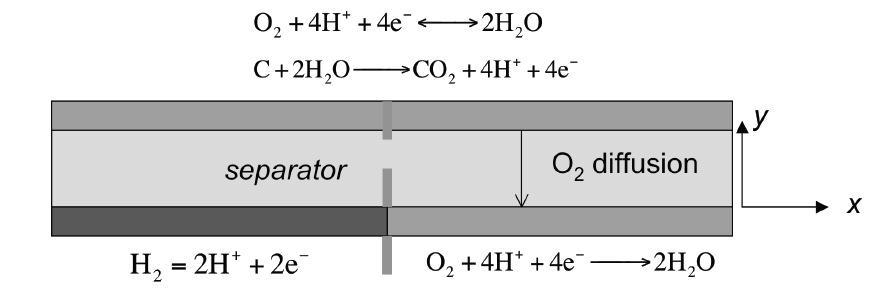 Figure 2-12: Carbon corrosion model domain and processes [62].
