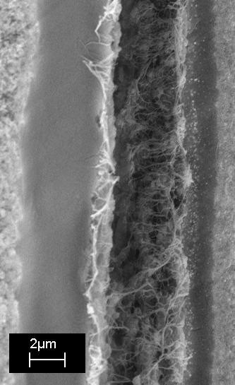Anode Catalyst Anode Electrolyte eptfe Cathode Cathode Catalyst Pt band Figure 5-6: Typical cross-section of the aged CCM for Cell 3 after 860 h, 5000X magnification.