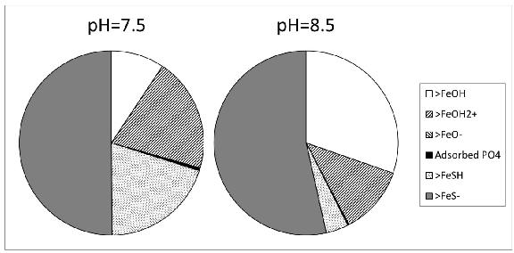 Fig. 3.2. The calculated speciation after equilibrating the surface with 2 mm sulfide at ph 7.5 (left) and ph 8.5 (right).