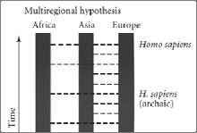 Phylogeography is the description and analysis of the processes that govern the distribution of genetic lineages.
