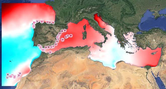 Sea level forecasting: Nivmar system: first storm surge model covering the whole Med Sea (2001): 2D barotropic model Forcing: wind and