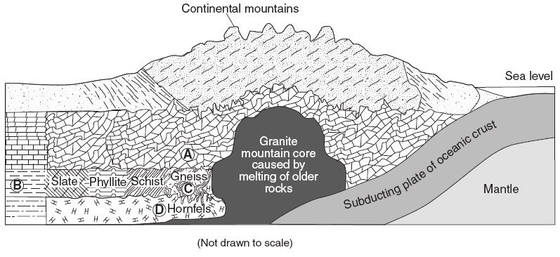 25. Base your answer to this question on the cross section below, which shows the bedrock structure of a portion of the lithosphere. Letters A through D represent locations in the lithosphere.