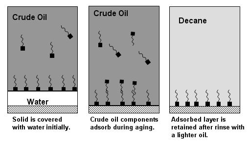 Figure 2 Development of oil-wetness. Squares are organic materials from crude oil (After Buckley et al.