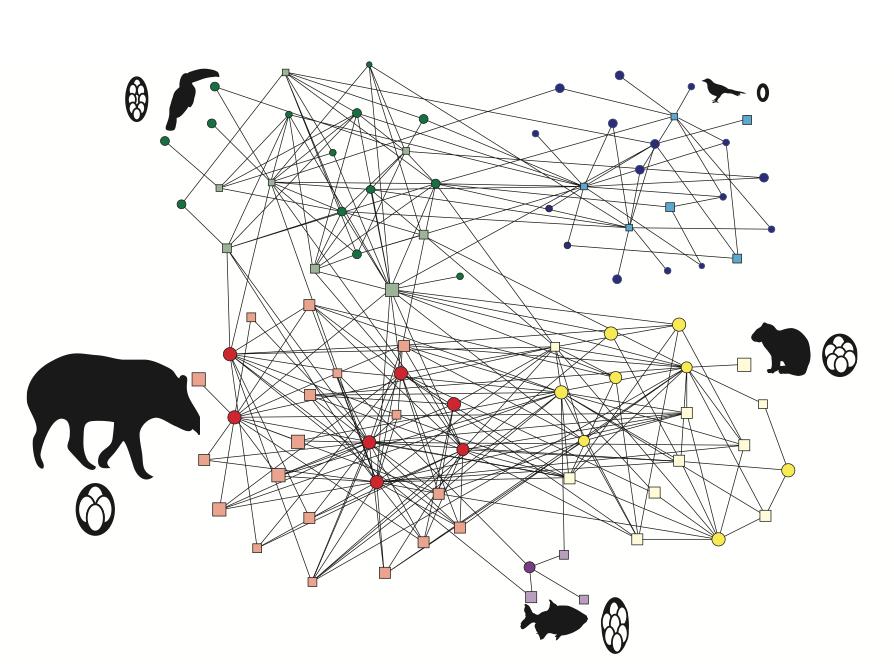Seed-dispersal networks The Pantanal seed-dispersal
