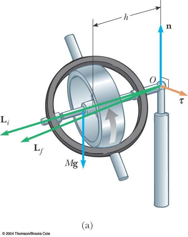 Gyroscope A gyroscope can be used to illustrate precessional motion The gravitational force Mg produces