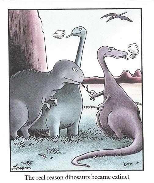 What Killed the Dinosaurs?