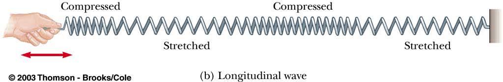 Longitudinal Waves In a longitudinal wave, the elements of the medium undergo