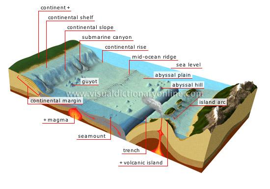 CHAPTER 23 VOCABULARY continental shelf continental slope continental rise The Ocean Floor active continental margin
