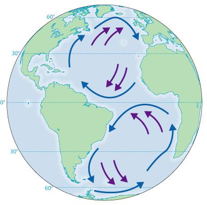 Surface Currents An ocean current is a continuous flow of water along a
